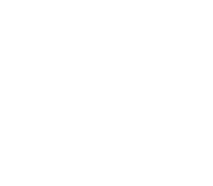 Back to Basics Chiropractic & Wellness